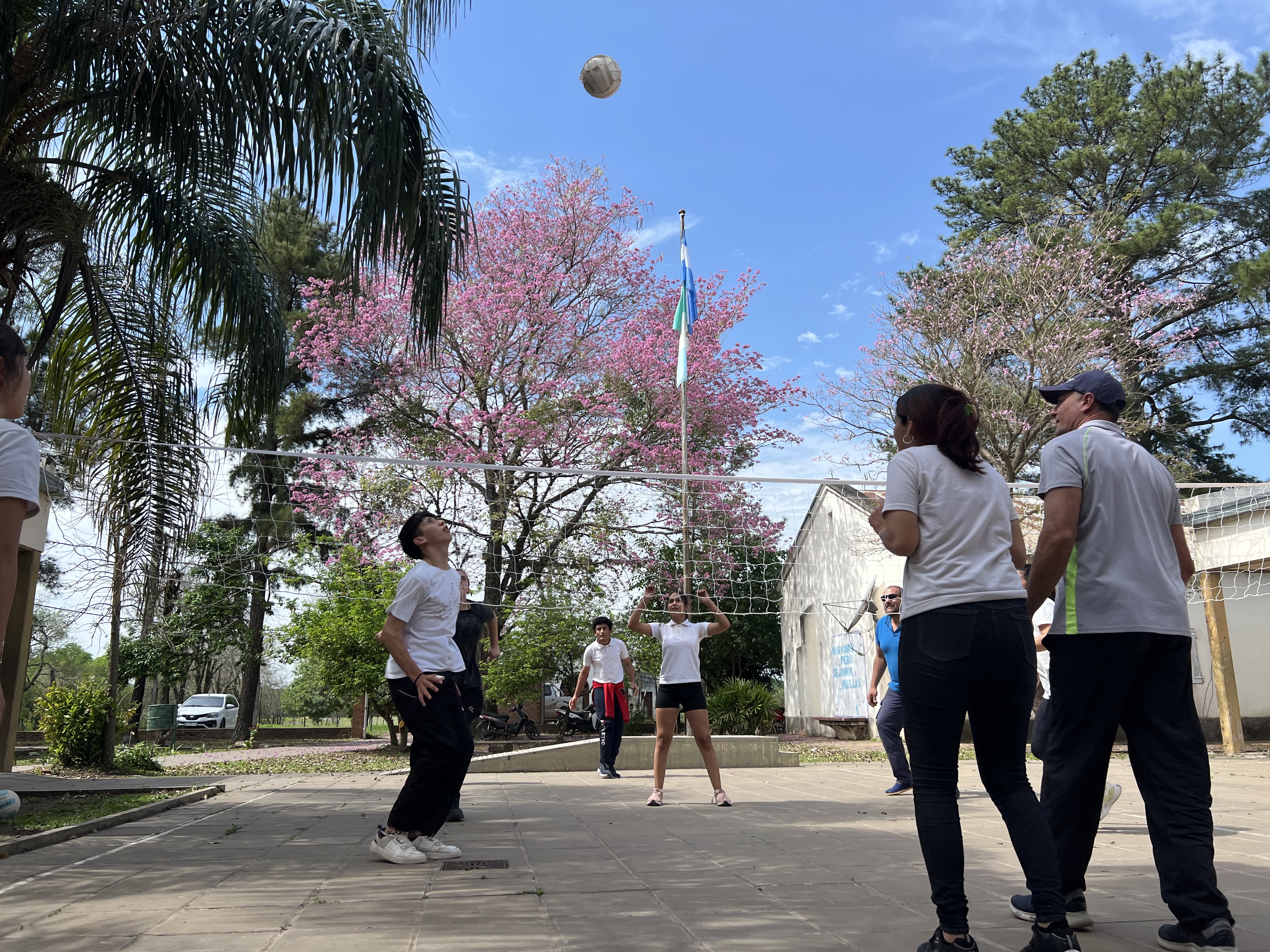 Foto del artículo