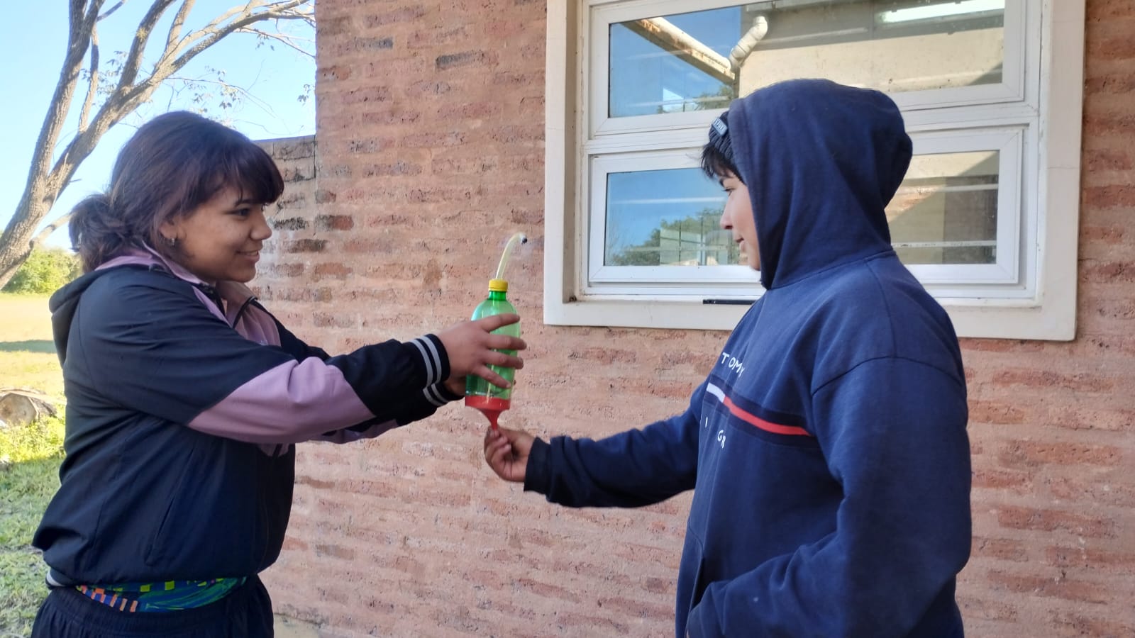 Foto del artículo